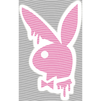 Brand Catalog-ZX 924